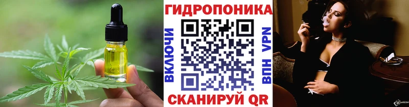 Canna-Cookies марихуана  Купить где  Билибино 