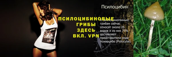 синтетический гашиш Каменногорск